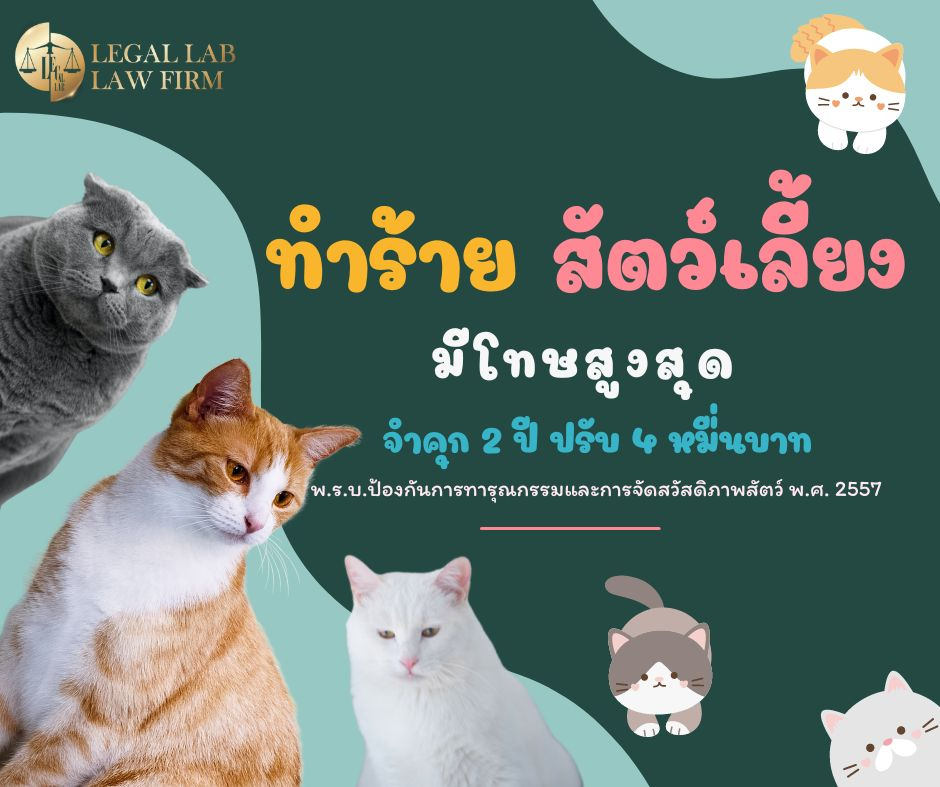 “การทารุณกรรมสัตว์”